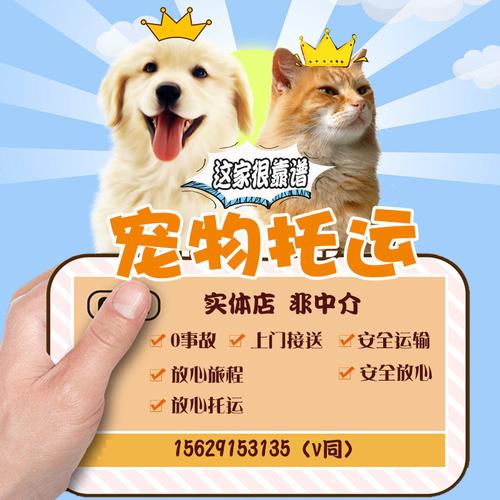 广州深圳宠物托运服务北京航空运输猫咪狗狗随机托运手续代办